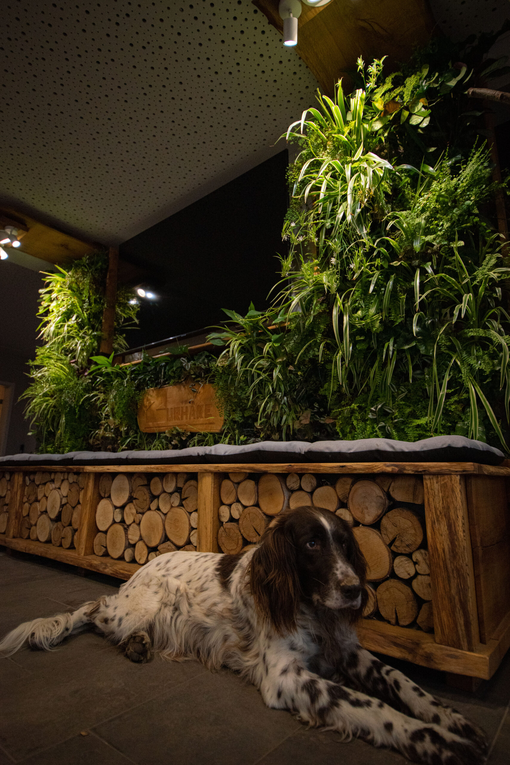 Living Wall